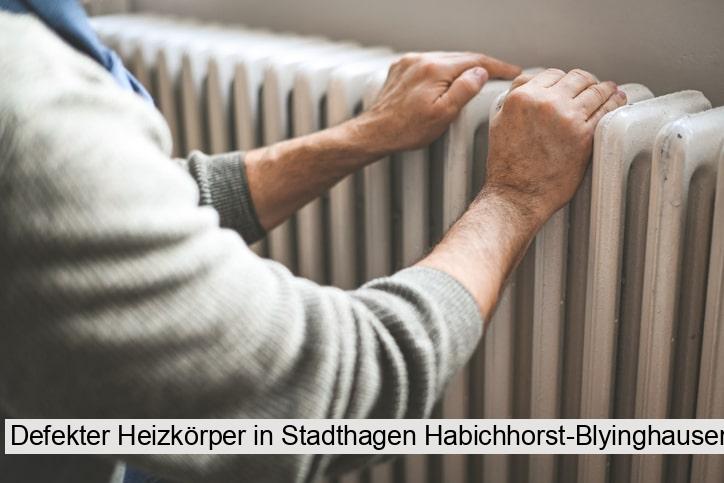 Defekter Heizkörper in Stadthagen Habichhorst-Blyinghausen